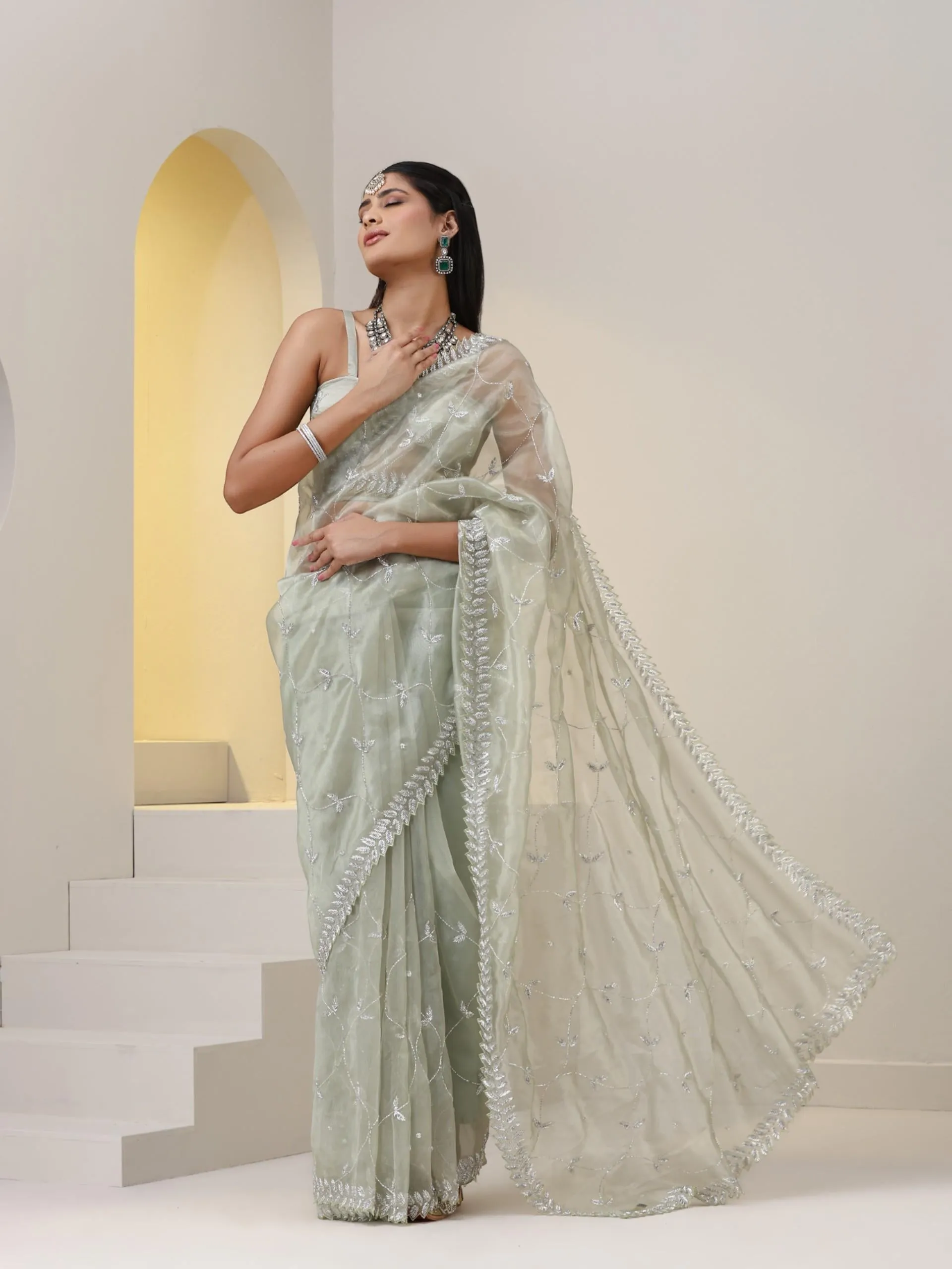 Cat's Eye Sage Organza Saree with Leaf Cut Dana Embroidery also on Blouse Fabric